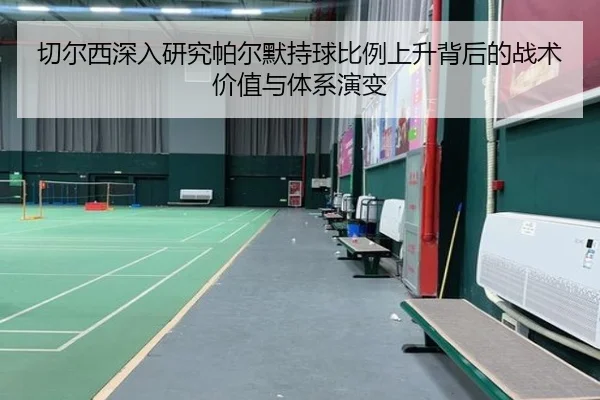切尔西深入研究帕尔默持球比例上升背后的战术价值与体系演变