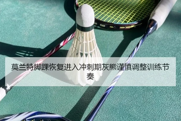 莫兰特脚踝恢复进入冲刺期灰熊谨慎调整训练节奏