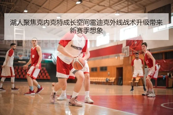 湖人聚焦克内克特成长空间雷迪克外线战术升级带来新赛季想象